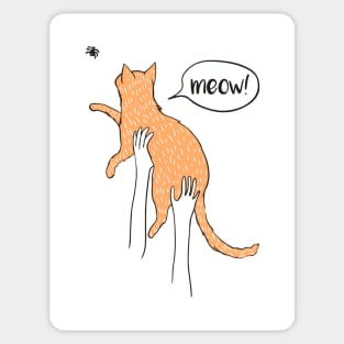 Meow Meow Sticker